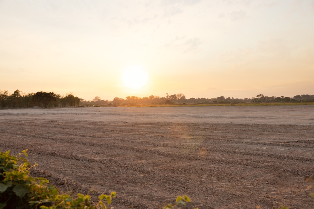 Land Clearing GA